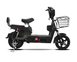 Bicicleta eléctrica GANGA