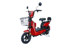 BICICLETA ELÉCTRICA GANGA