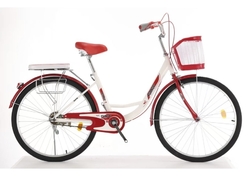 BICICLETA 24“