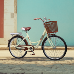 BICICLETA 24“ Color rojo